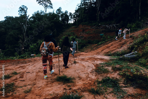 Forest hiking and nature exploration.