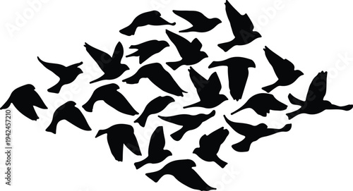 Silhouette black birds flying together flock group abstract minimal vector design
