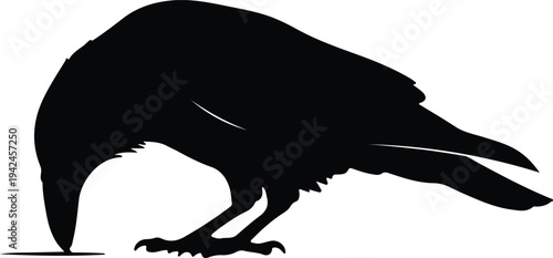 Silhouette black crow bird feeding on ground simple illustration vector design