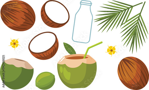 Fresh tropical coconut and lime vector set with palm leaves green coco drinks and brown coconut halves