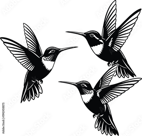 Three hummingbirds in flight with spread wings and open beaks
