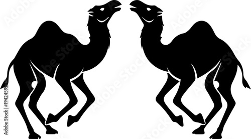 silhouette of camels