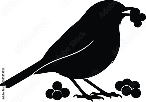 Silhouette of a bird holding berries in its beak with berries at feet vector design