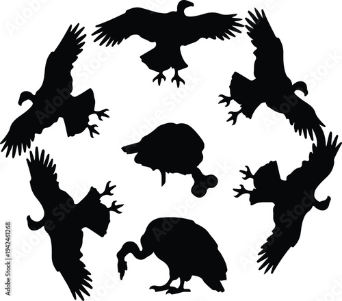 Silhouette vultures circling a carcass for scavenging vector design