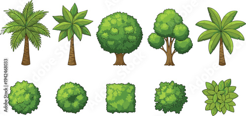 Cartoon Trees and Bushes Vector Set with Palm Trees, Green Shrubs and Garden Plants Nature Illustration