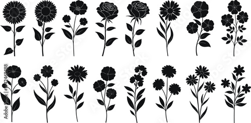 Detailed black flower silhouette collection with rose sunflower and daisy botanical elements for elegant wedding invitations garden nature decor and professional graphic design.