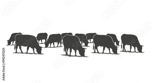 Grazing cattle silhouettes in a rural pasture illustration