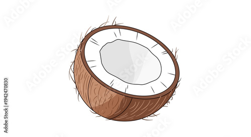 Half coconut with husk and white flesh isolated on white