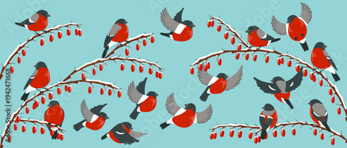 vector drawing bird, bullfinches at wild cornel branch with red berries and snow in winter, hand drawn wildlife illustration