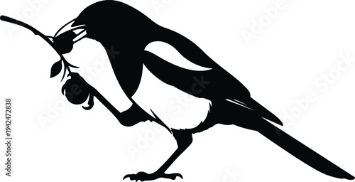 Silhouette bird holding branch with fruit in beak vector design