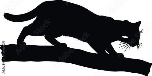Silhouette black cat on branch vector design