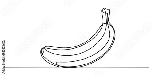 Continuous line drawing whole bunch healthy organic banana, Outline vector illustration, Vector illustration of banana continuous one line art drawing concept.