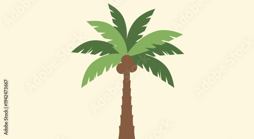 Minimalist flat design tropical palm tree with coconuts