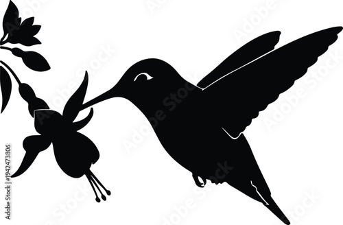 Silhouette Hummingbird Feeding from Flower vector design