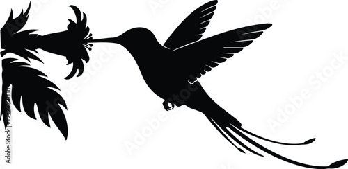 Silhouette Hummingbird Flying Near Tropical Leaves vector design