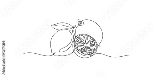 Continuous line drawing of a sliced citrus fruit with leaves on white background