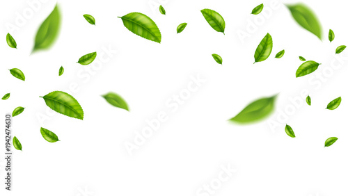 green leaf flying vector background