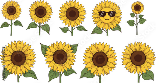Collection of vibrant yellow sunflower vector illustrations featuring various realistic blooming flowers with green leaves and a cute smiley face character wearing sunglasses.