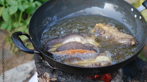 Frying Fresh Fish in a Cast Iron Pan with Bubbles and Crisping Skin Over Fire on a Rustic Outdoor Kitchen Setting