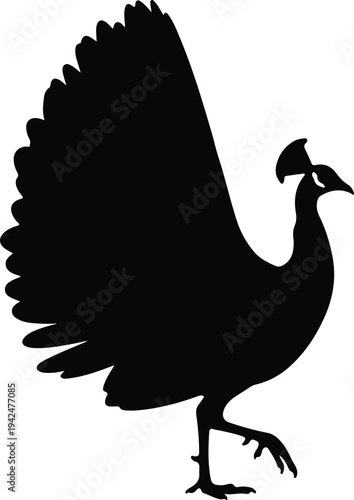 Silhouette of a Peacock Bird with Beautiful Feather vector design