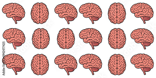 Human Brain Illustration Set Featuring Top Side Front Views Anatomical Transparent Background Medical Science Vector Graphics