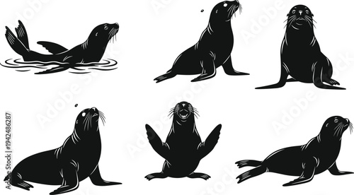 Set of black sea lion and seal silhouettes in various poses swimming sitting and barking isolated on white background vector