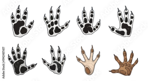 Animal Paw Prints Set: Tracks of Different Mammals on White Background