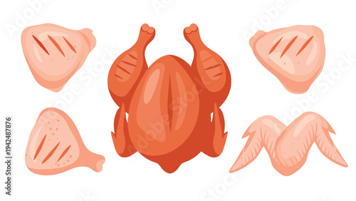 Delicious whole roasted chicken alongside various raw chicken cuts including thighs, drumsticks, and wings, ideal for food and cooking themes.