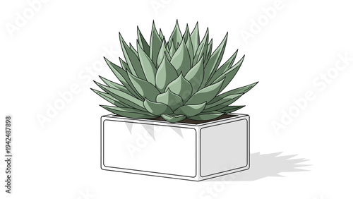 Stylish potted succulent plant with sharp, pointed leaves, placed in a modern rectangular white pot, perfect for home decor and greenery themes.