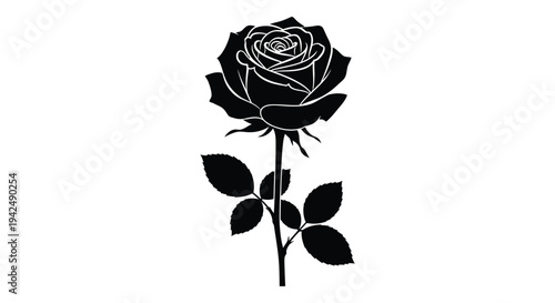 A striking black silhouette of a fully bloomed rose with leaves