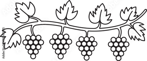 Simple outline illustration of a grape vine branch with four bunches of fruit
