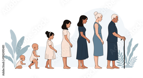 Illustration showing the different stages of a woman's life from a crawling baby to an elderly woman with a walking cane.