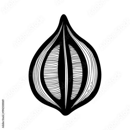 Seed illustration with detailed texture and shading from a top view