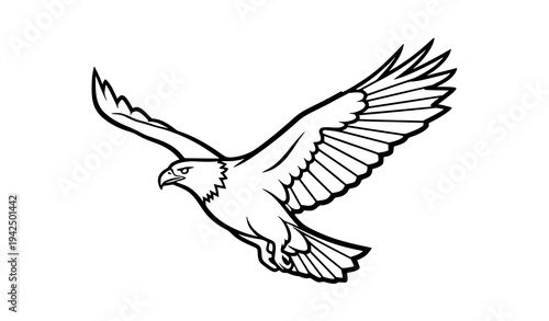 Minimal Majestic Eagle and Bird of Prey Vector Illustration