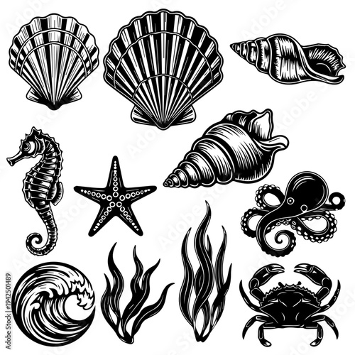 Assorted black and white ocean creatures and objects illustration