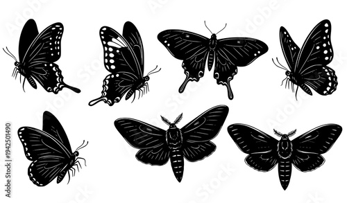 Butterfly and Moth Silhouette Flying Insect Vector Collection
