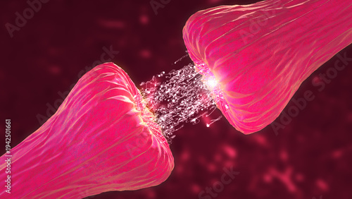 Neuronal and Synapse Activity Animation Showing Neurotransmitter Signal Transmission