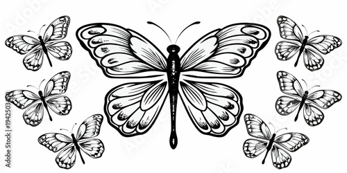 Elegant Butterfly Swarm Vector Illustration with Detailed Wings Silhouette