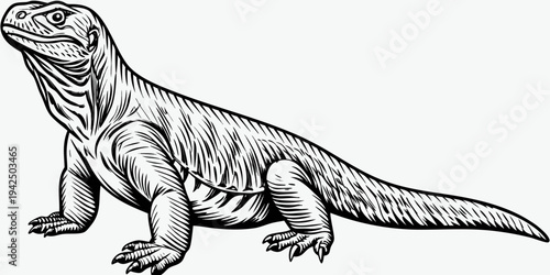 Detailed Komodo Dragon Vector Illustration - Realistic Reptile Woodcut Style Silhouette