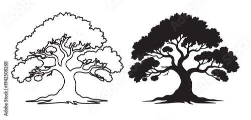 Two contrasting tree illustrations one detailed one a solid silhouette