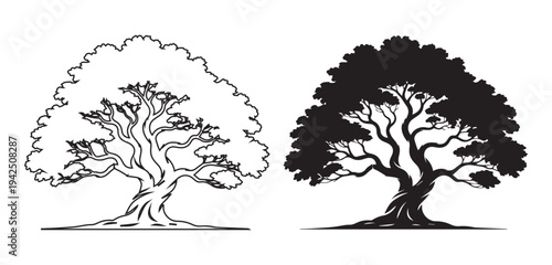Two contrasting depictions of a majestic oak tree one light and one dark