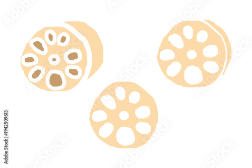 手書き風の蓮根のイラスト素材