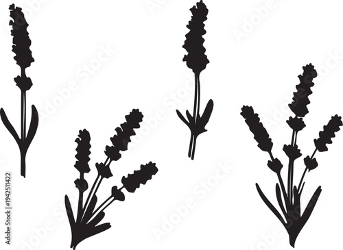 Set of 4 Black Lavender Flower Silhouettes Vector Illustration for Botanical Designs, Aromatherapy, and Spa Concepts