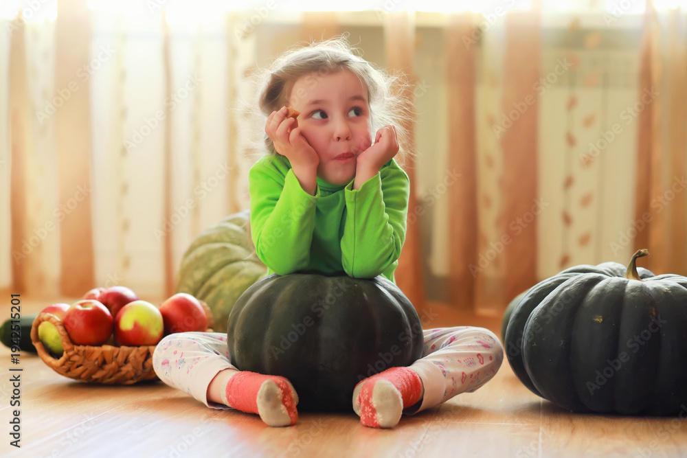 Fototapeta premium Little child choose a pumpkin at autumn. Child sitting on giant pumpkin. Pumpkin is traditional vegetable used on American holidays - Halloween and Thanksgiving Day.