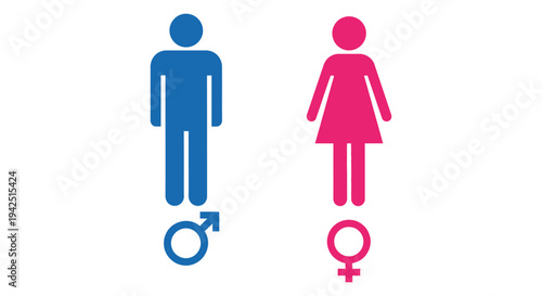 Modern vector graphic illustration depicting blue male and pink female gender symbols for representation.