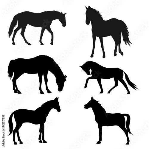 Horse Silhouette Set with Different Equine Standing and Walking Poses