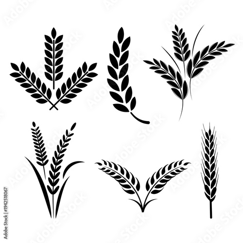 Wheat and Grain Silhouette Collection for Agriculture and Harvest Icons