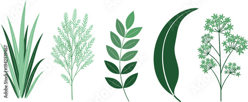 Minimalist Green Herb and Leaf Vector Set with Grass Blades, Feathery Foliage, Compound Leaves, Curved Tropical Leaf and Flowering  Pastel Botanical Plants Illustration for Wellness and Eco Designs