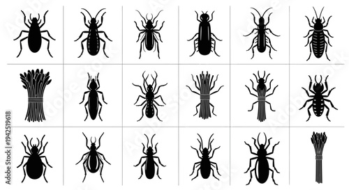 Collection of various insect silhouettes on white background for design use
