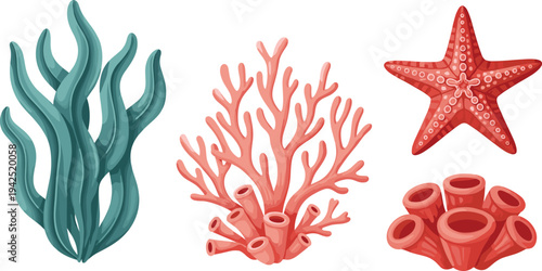 Marine Sea Life Vector Set with Turquoise Seaweed, Pink Branching Coral, Red Starfish and Tube Sponges, Colorful Underwater Reef Elements Illustration for Ocean-Themed Designs and Decor
